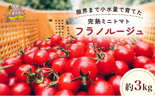 訳あり 北海道 完熟 新鮮 ミニトマト フラノルージュ 3kg 上富良野 自宅用 野菜 産地直送