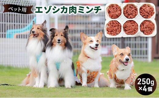 ペットのおやつ【エゾシカ肉のミンチ】250g×4 南富フーズ株式会社 鹿肉 ジビエ 餌 犬 猫 鹿 ペット 健康 無添加 肉 北海道 南富良野町 エゾシカ 雑貨 日用品 手作り オヤツ お菓子 