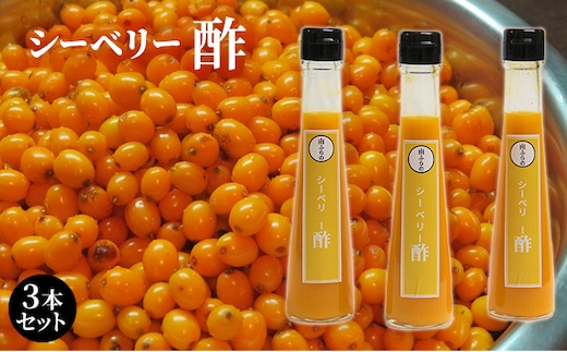 シーベリー酢 3本セット 北海道 南富良野町 シーベリー ベリー 酢 調味料 セット 詰合せ ドレッシング ソース たれ シーベリー 酢 