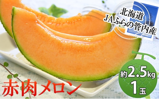 2026年夏発送 メロン 北海道 ふらの 赤肉メロン 約2.5kg×1玉 JAふらの 厳選 産地直送 赤肉 富良野メロン フルーツ 果物 果実 旬 旬のくだもの デザート おやつ めろん 富良野 