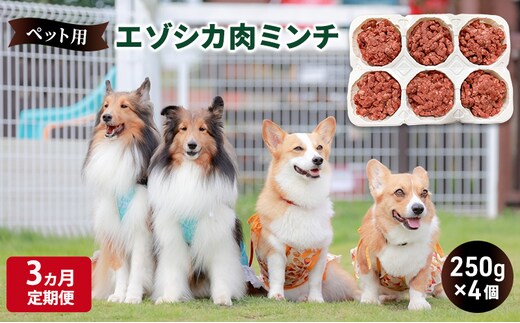 3ヵ月定期便 ペットのおやつ【エゾシカ肉のミンチ】250g×4 南富フーズ株式会社 鹿肉 ジビエ 餌 犬 猫 鹿 ペット 健康 無添加 肉 北海道 南富良野町 エゾシカ 