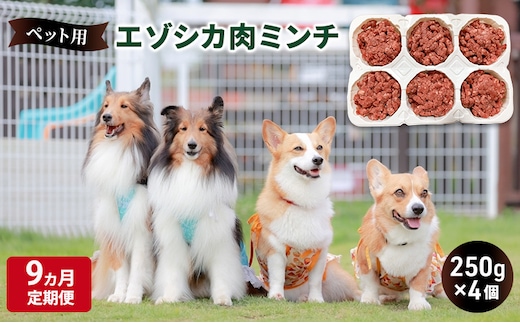 9ヵ月定期便 ペットのおやつ【エゾシカ肉のミンチ】250g×4 南富フーズ株式会社 鹿肉 ジビエ 餌 犬 猫 鹿 ペット 健康 無添加 肉 北海道 南富良野町 エゾシカ 