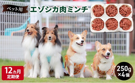 12ヵ月定期便 ペットのおやつ【エゾシカ肉のミンチ】250g×4 南富フーズ株式会社 鹿肉 ジビエ 餌 犬 猫 鹿 ペット 健康 無添加 肉 北海道 南富良野町 エゾシカ 