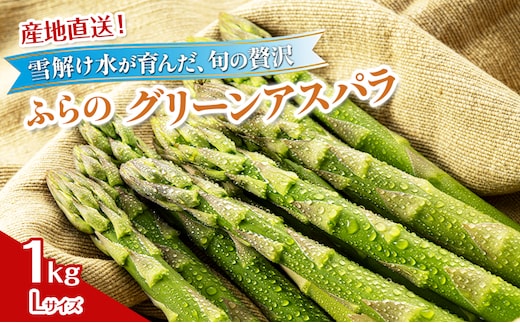 2026年夏発送！ [JAふらの厳選]富良野産 グリーンアスパラ Lサイズ 約1kg アスパラ 野菜 アスパラガス