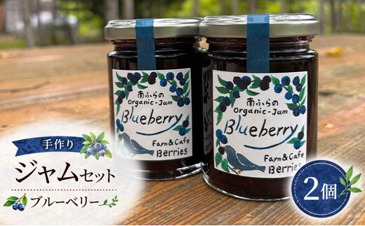 手作りジャムセット 【ブルーベリー】 2個 北海道 南富良野町 ジャム ブルーベリー ソース 果実 ベリー