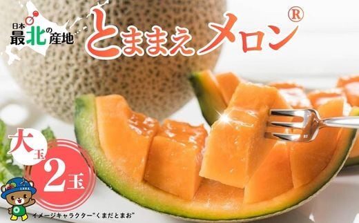 【2026年7月中旬から発送】とままえメロン 2玉 計3.2kg前後 大玉サイズ 北海道産 先行 予約 受付 赤肉 甘い 糖度14度 旬 産地直送 めろん フルーツ 果物 デザート 北海道 苫前町 とままえ rum09