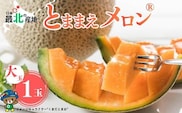 【2026年7月中旬から発送】とままえメロン 1玉 1.6kg前後 大玉サイズ 北海道産 先行 予約 受付 赤肉 甘い 糖度14度 旬 産地直送 めろん フルーツ 果物 デザート 北海道 苫前町 とままえ rum08