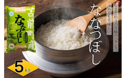 【令和7年産・新米】北海道とままえ産ななつぼし 5kg