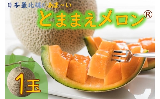 【令和8年産先行受付】とままえメロン 1玉（先行予約 北海道産 赤肉 糖度14度 甘い フルーツ 果物 デザート 送料無料）