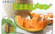 【令和8年産先行受付】とままえメロン　1玉（先行予約　北海道産　赤肉　糖度14度　甘い　フルーツ　果物　デザート　送料無料）