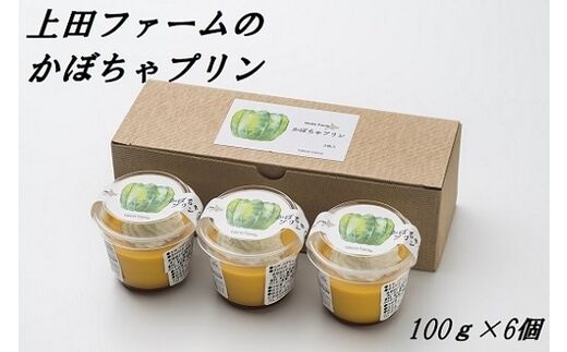 上田ファームのかぼちゃプリン 100g×6個