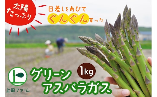 【令和8年産先行受付】上田ファームのグリーンアスパラガス 1kg《数量限定》