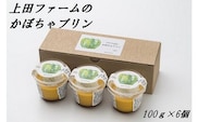 上田ファームのかぼちゃプリン　100g×6個