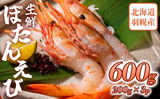 超速リキッド凍結でドリップゼロ！北海道羽幌産生鮮ぼたんえび 600g【0311801】