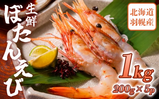 超速リキッド凍結でドリップゼロ！北海道羽幌産生鮮ぼたんえび 1kg【0311902】