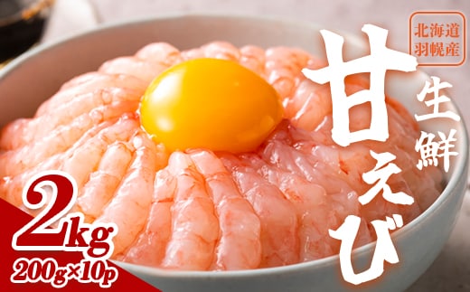【おまとめ配送】超速リキッド凍結でドリップゼロ！北海道羽幌産生鮮甘えび2kg（200g×10パック）【0312001】