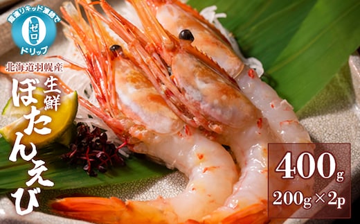 超速リキッド凍結でドリップゼロ！北海道羽幌産生鮮ぼたんえび 400g【03127】
