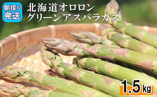 【2026年 先行予約！】【朝採り発送】北海道オロロングリーンアスパラガス 1.5kg（露地物）【0410502】