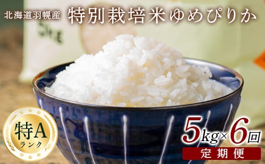 【2025年産】 【定期便：6回】 北海道羽幌産 特別栽培米 ゆめぴりか5kg【0811302】