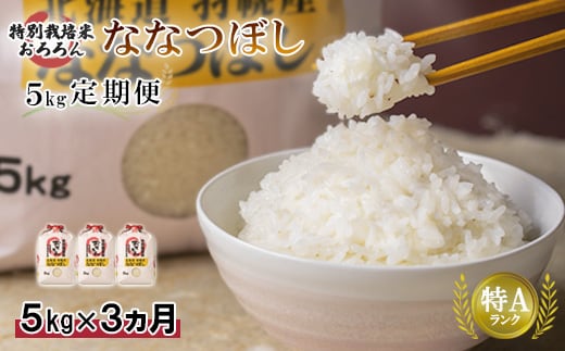 【2025年産】 【定期便：3回】 北海道羽幌産 特別栽培米 ななつぼし5kg【0812702】