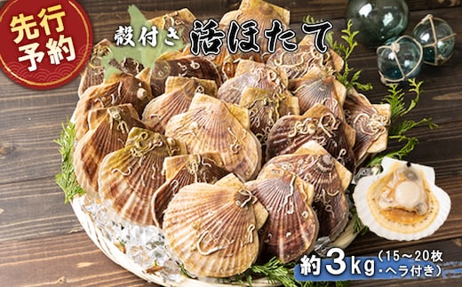 【先行予約】北海道 羽幌町産 殻付き活ホタテ 約3kg（15～20枚・ヘラ付き）【0910205】