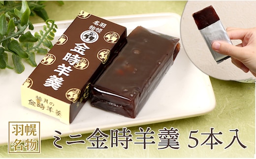 羽幌名物 ミニ金時羊羹5本入【11110】