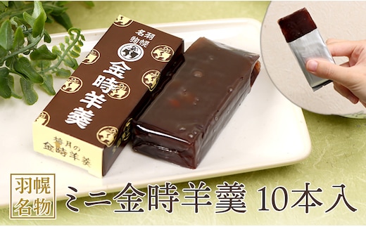 羽幌名物 ミニ金時羊羹10本入【11111】