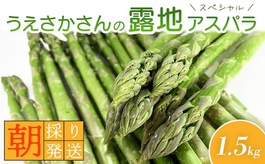 【2026年 先行予約！】【朝採り発送】うえさかさんの露地アスパラ スペシャル 1.5kg【20101】