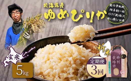 【2026年産新米】★先行予約★【定期便：3回】北海道産 特別栽培米 ゆめぴりか 玄米 5kg（無化学肥料、除草剤一回だけで栽培した体に優しいお米）【25208】