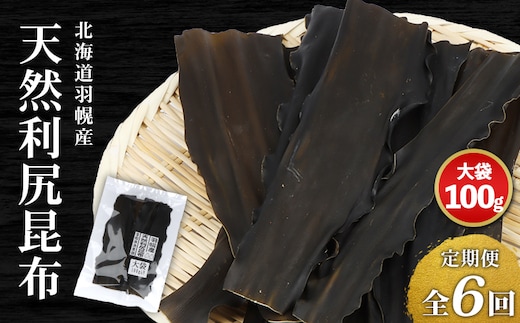 【定期便：全6回】北海道羽幌町産 天然利尻昆布（大袋）×100g【28008】