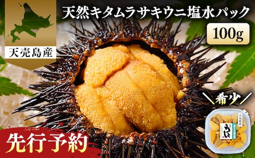 【北海道 天売島産】 ★2026年先行予約★ 天然 キタムラサキうに 塩水パック 100g×1パック【31001】