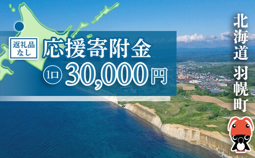 北海道羽幌町への応援寄付 返礼品なし 1口 30,000円【99006】