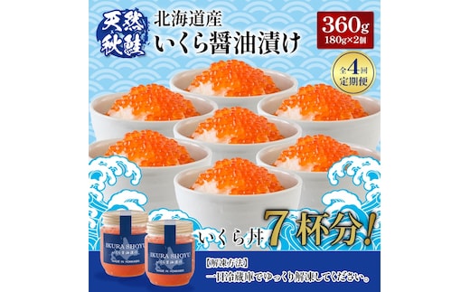 定期便：全4回】【新物！天然秋鮭】北海道産いくら醤油漬け360g(180g×2)【0213002】 | dショッピングふるさと納税百選