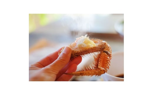 毛ガニ（約440g）×２尾【0104801】