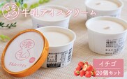 さるふつ牛乳アイスクリーム イチゴ20個セット【0302501】