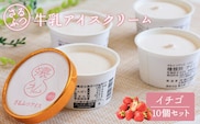 さるふつ牛乳アイスクリーム イチゴ10個セット【03031】