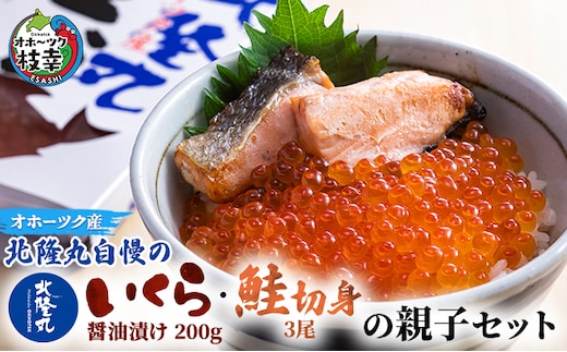 北隆丸自慢のいくら醤油漬け200g・鮭切身3尾の親子セット オホーツク枝幸産【 いくら イクラ 鮭 サケ サーモン 鮭卵 魚卵 魚貝 魚介 加工食品 北海道 オホーツク 枝幸 】