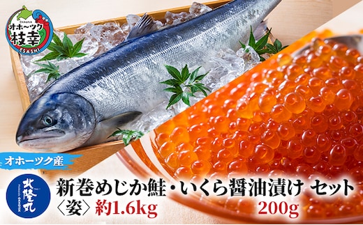 北隆丸 新巻めじか鮭〈姿〉約1.6kg・いくら醤油漬け200gセット オホーツク枝幸産【 いくら イクラ 鮭 サーモン 鮭卵 魚卵 魚貝 魚介 加工食品 北海道 オホーツク 枝幸 】