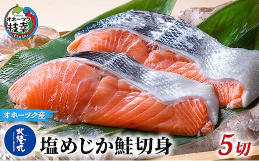 北隆丸 塩めじか鮭切身5切 オホーツク枝幸産【 鮭 サケ サーモン 切り身 干物 魚貝類 魚介類 漬け 漬魚 塩漬け 加工食品 北海道 オホーツク 枝幸 】
