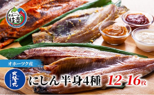 北隆丸 にしん半身4種セット1.2kg（12～16枚）一夜干・塩麹漬・西京漬・チャンジャ漬［300g（3～4枚入）×各1P］【 オホーツク枝幸産 魚貝類 干物 魚貝類 漬魚 味噌漬け 加工食品 北海道 オホーツク 枝幸 】