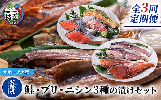 北隆丸 鮭・ブリ・ニシン3種の漬けセット【全3回定期便】【 干物 魚貝類 漬魚 味噌漬け 魚貝類 加工食品 北海道 オホーツク 枝幸 】