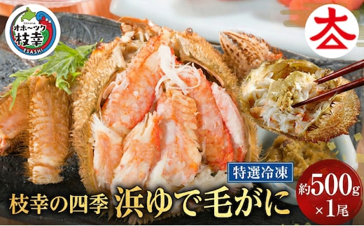 枝幸の四季 浜ゆで毛がに 約500g×1尾［枝幸海産］流氷 海明け【 カニ 蟹 毛ガニ 毛がに 毛蟹 浜ゆで 浜茹で 冷凍 北海道 オホーツク 枝幸 】 