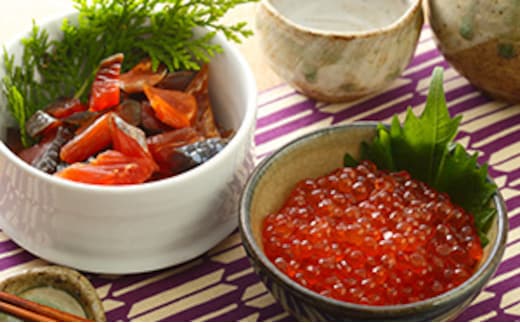 オホーツク枝幸産［天然秋鮭］鮭とばカット800g（80g×10）・いくら醤油漬け640g（80g×8）セット 永光水産 【 いくら イクラ 海鮮 海産物 魚介 魚卵 応援 支援 冷凍 ギフト おつまみ 自宅用 肴 北海道 オホーツク 枝幸 】