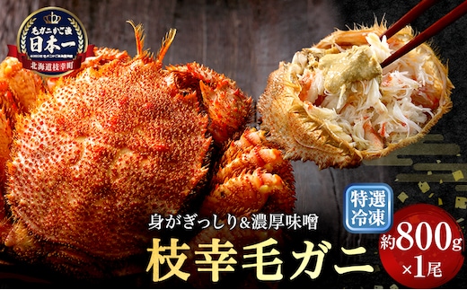 【漁獲量日本一】至福の逸品！特選冷凍「枝幸毛がに」約800g×1尾【 毛蟹 毛ガニ オホーツク 北海道 加工食品 地域のお礼の品 カタログ 毛ガニ 北海道 オホーツク 枝幸 】