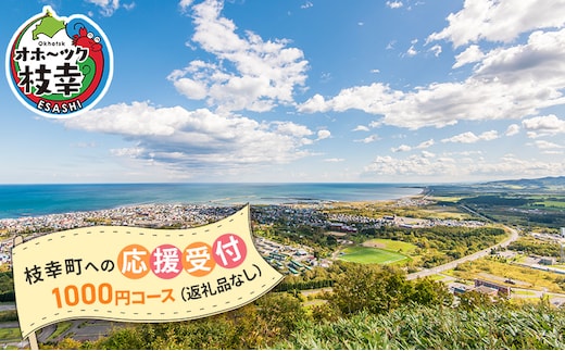 北海道枝幸町 寄附のみの応援受付 1,000円コース（返礼品なし 寄附のみ 1000円）【 自治体支援 自治体応援 お礼の品なし ふるさと支援 ふるさと応援 まちづくり 子育て 教育福祉 北海道 オホーツク 枝幸 】