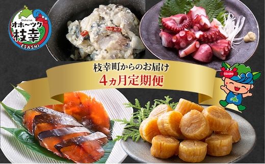 北海道枝幸町からのお届け おつまみにどうぞ！ 定期便4【 ホタテ 貝柱 サクラマス トバ にしん 味付 たこ 北海道 オホーツク 枝幸 】 
