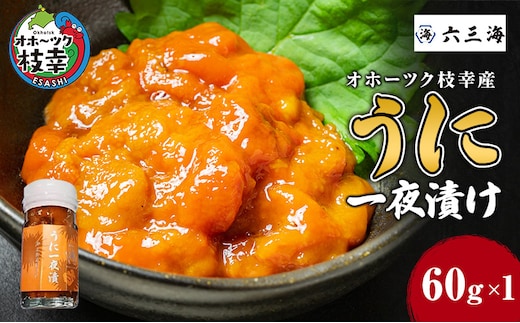 オホーツク枝幸産 うに一夜漬け60g×1瓶【 うに ウニ 雲丹 魚卵 魚貝 魚介 加工食品 北海道 オホーツク 枝幸 】
