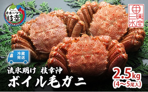 〈冷蔵発送〉流氷明け 枝幸沖 ボイル毛ガニ 2.5kg (4～5尾入) 先行予約【2026年3月頃発送予定】旬の味覚［丸中三興水産］オホーツク枝幸 前浜【 蟹 魚介 北海道 枝幸 】