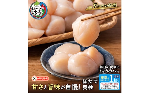 全3回 定期便【枝幸ほたて】たっぷり41～60粒！旨味凝縮 冷凍ほたて貝柱 1kg［プロも認めるオホーツクブランド］枝幸漁協【 刺身 魚介 帆立 超目玉 魚貝類 貝類 海の幸 枝幸産 つまみ 肴 お酒のお供 お酒のあて 北海道 オホーツク 枝幸 】