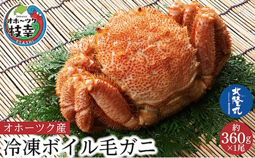 オホーツク産 北隆丸 冷凍ボイル 毛ガニ 約360g×1尾【 カニ かに 蟹 毛ガニ 毛蟹 冷凍 魚貝 魚介 海鮮 北海道 オホーツク 枝幸 】